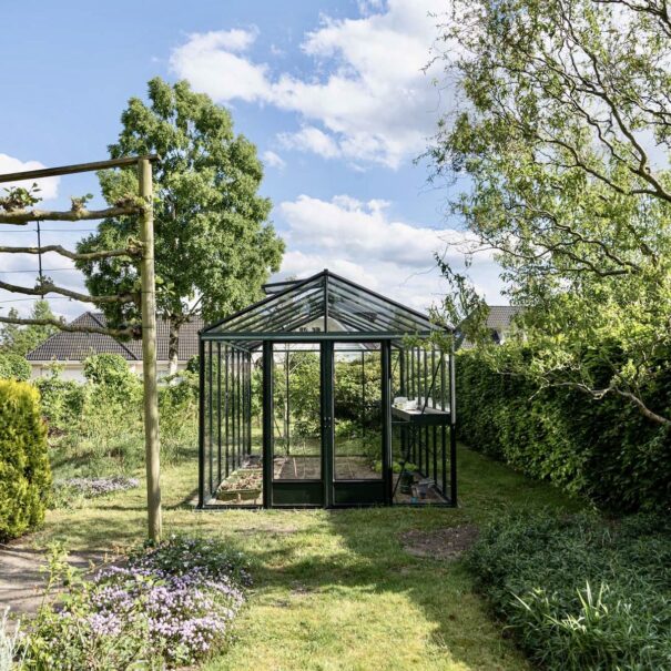 Serre gothique autonome - Structure aluminium - Euro Maxi Victorian (Vue 11)