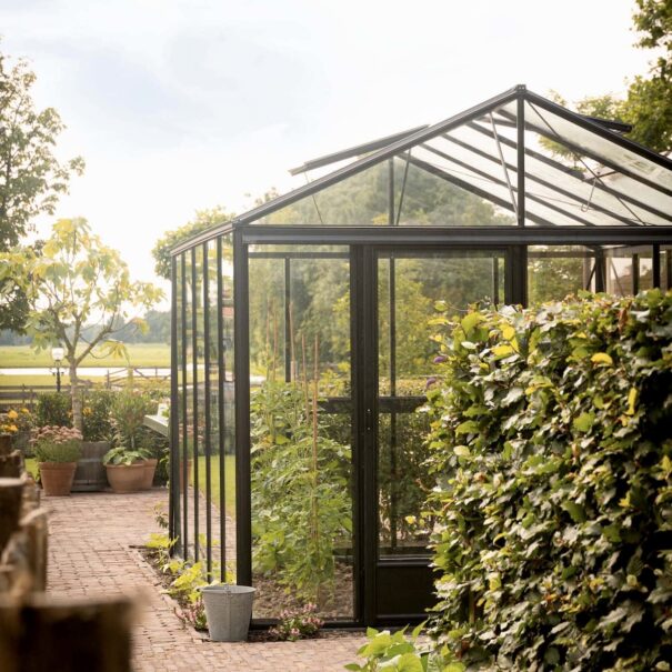 Serre gothique autonome - Structure aluminium - Euro Maxi Victorian (Vue 9)