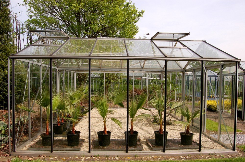 Verre de serre horticole trempé 4 mm sur-mesure