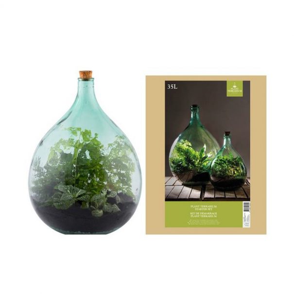 Bouteille terrarium (Vue 1)