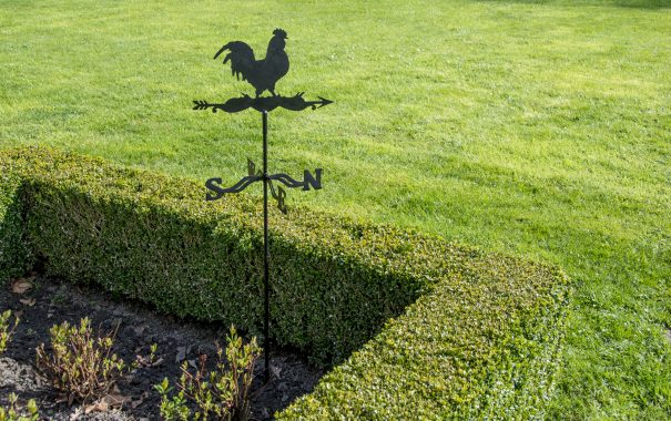 Girouette coq en métal à planter // support latéral (Vue 1)