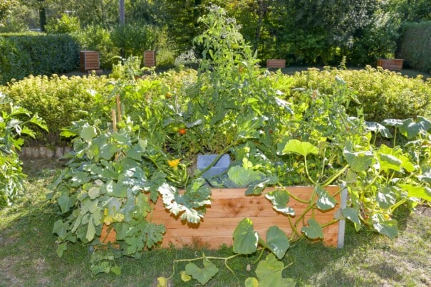 Potager autonome keyhole garden medium - Potager autonome keyhole garden medium - 170x120cm - Mon petit potager (Vue 1)