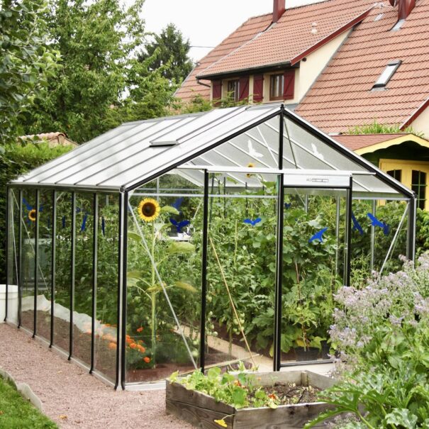 Serre de culture en verre - Double pente - Structure aluminium - ACD Parois droites (Vue 9)