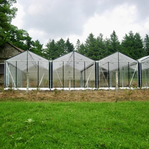 Serre de culture classique grande surface en polycarbonate - Structure aluminium - Euro Super Alu Polycarbonate (Vue 1)