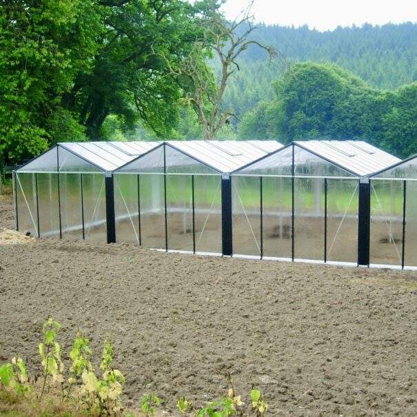 Serre de culture classique grande surface en polycarbonate - Structure aluminium - Euro Super Alu Polycarbonate (Vue 3)